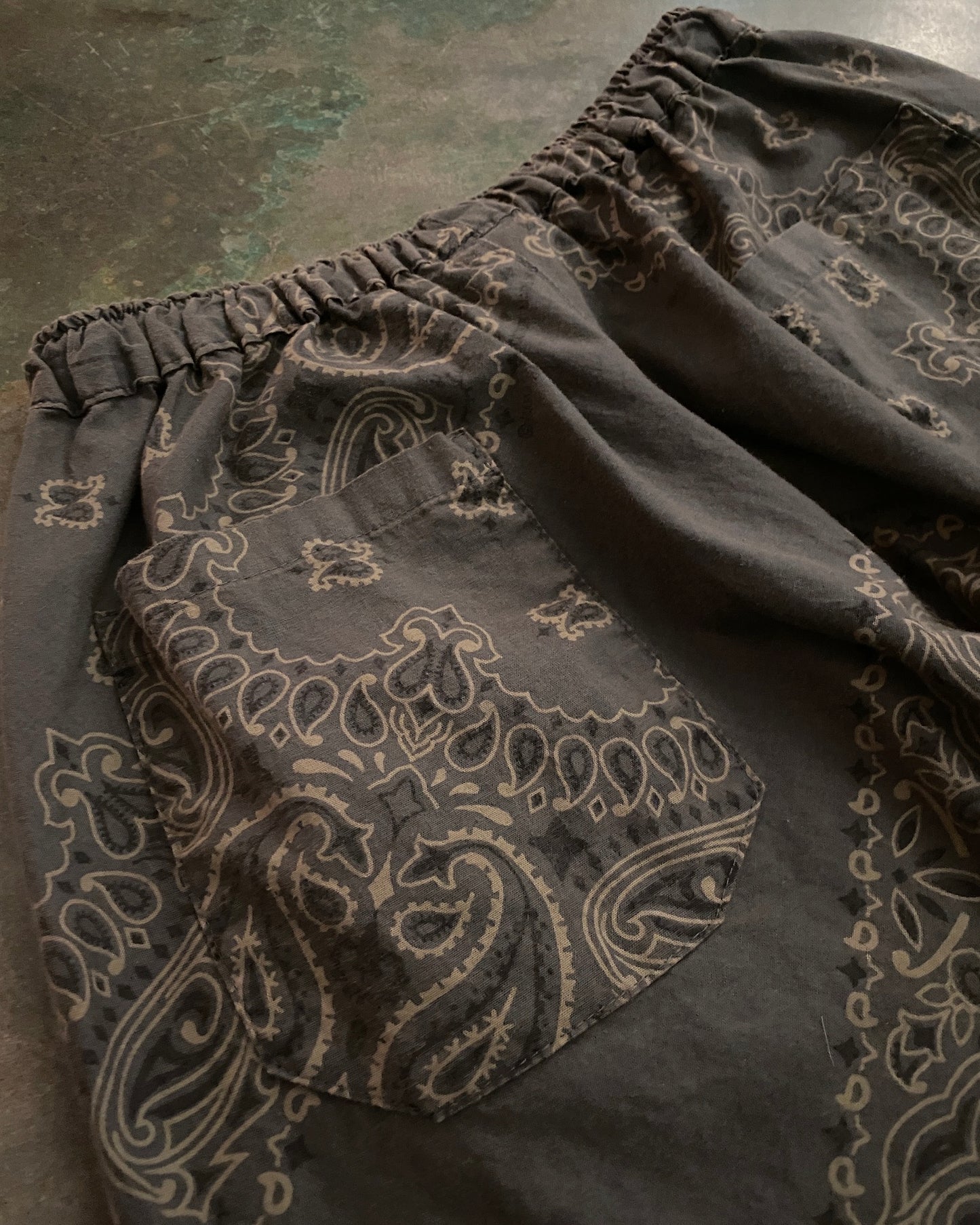 Paisley Bandana Ninja Pants