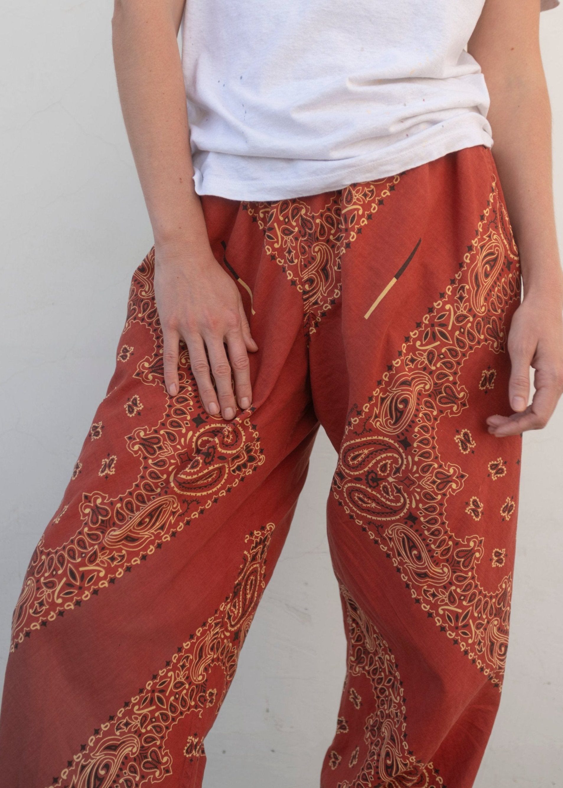 Paisley Bandana Ninja Pants