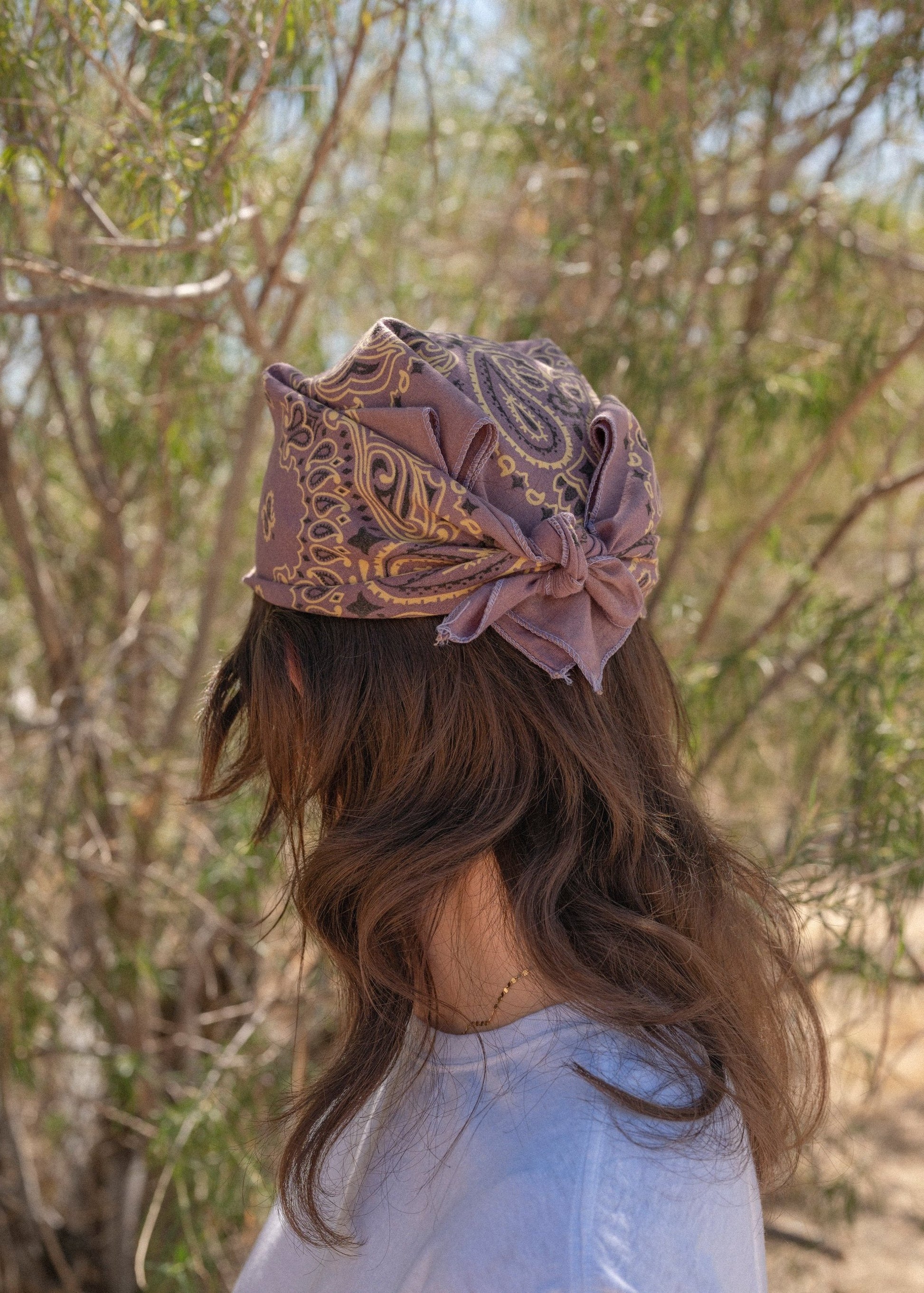 Desert Paisley Bandana