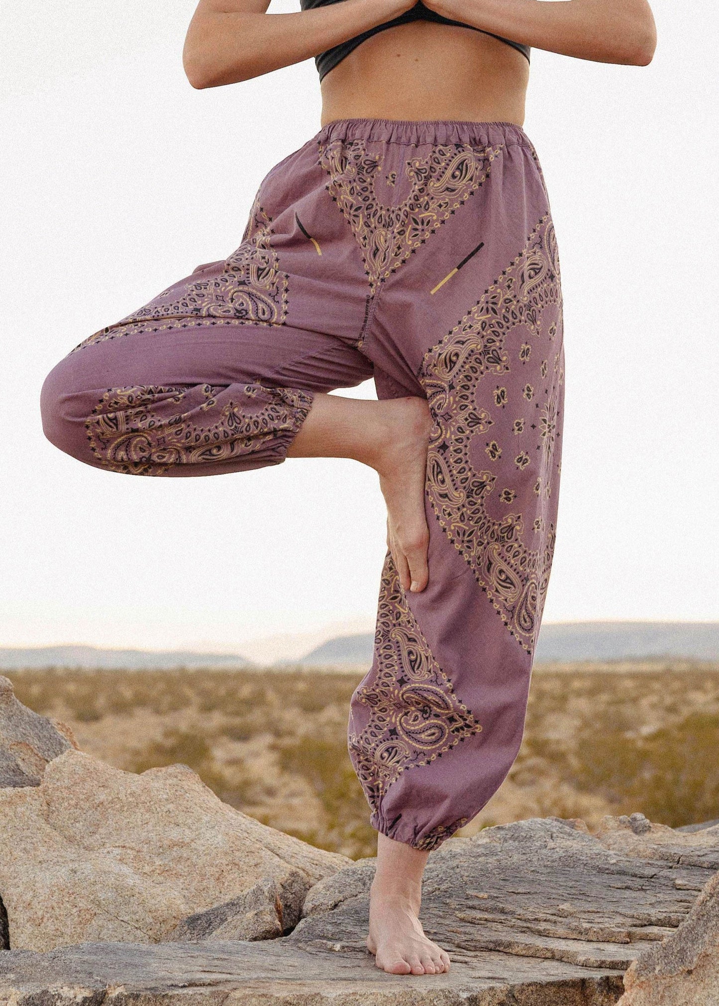 Paisley Bandana Ninja Pants
