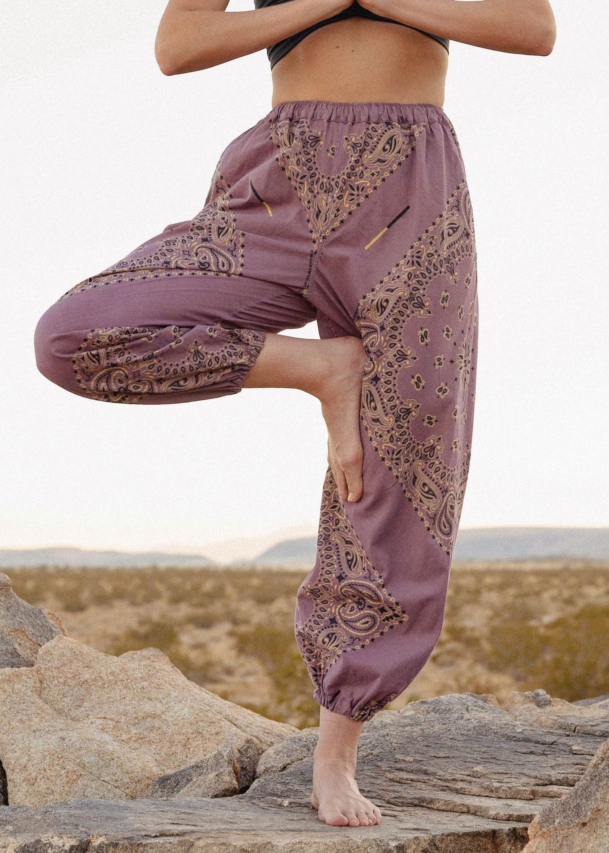 Paisley Bandana Ninja Pants