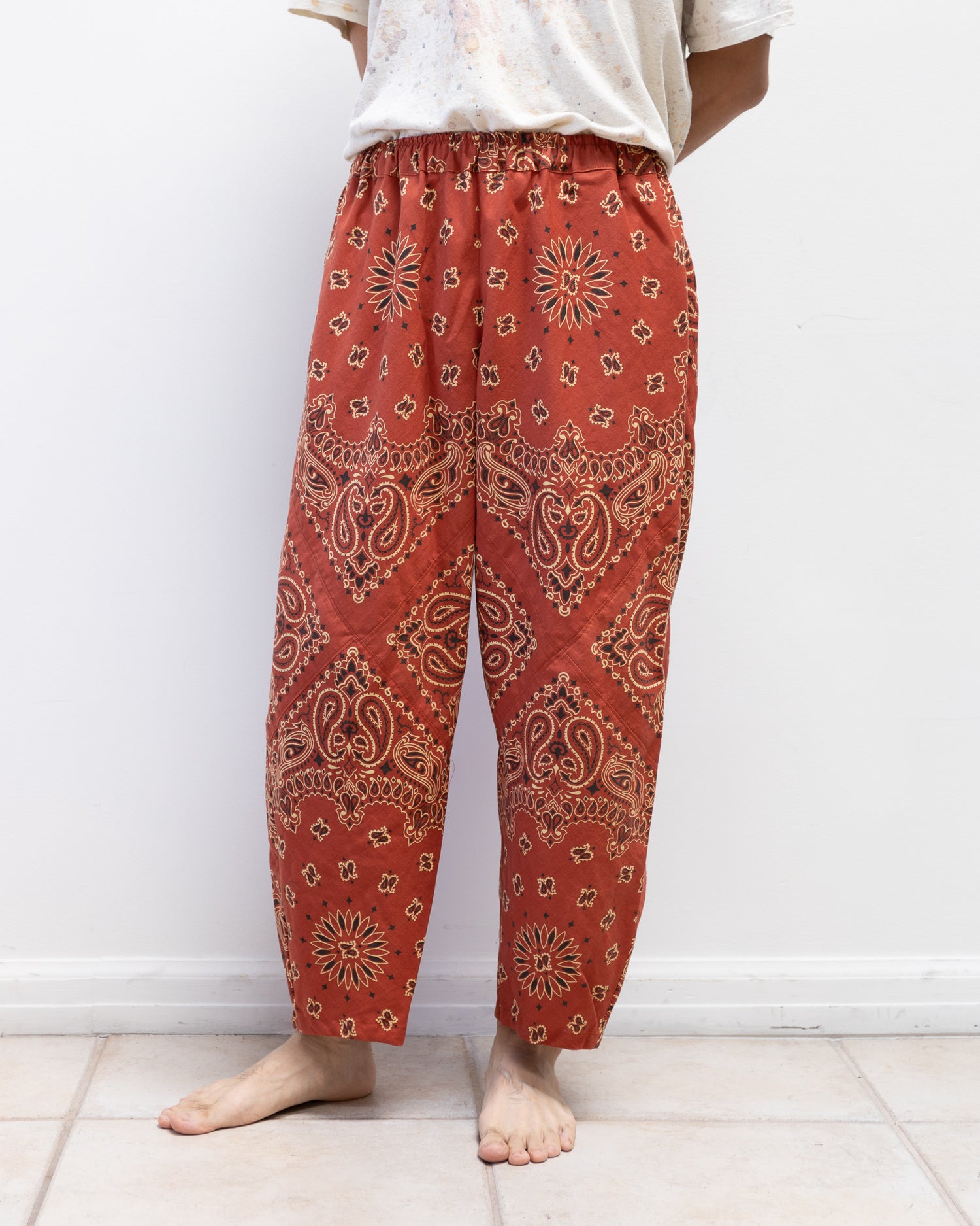 New Paisley Bandana 3D Cut Pants