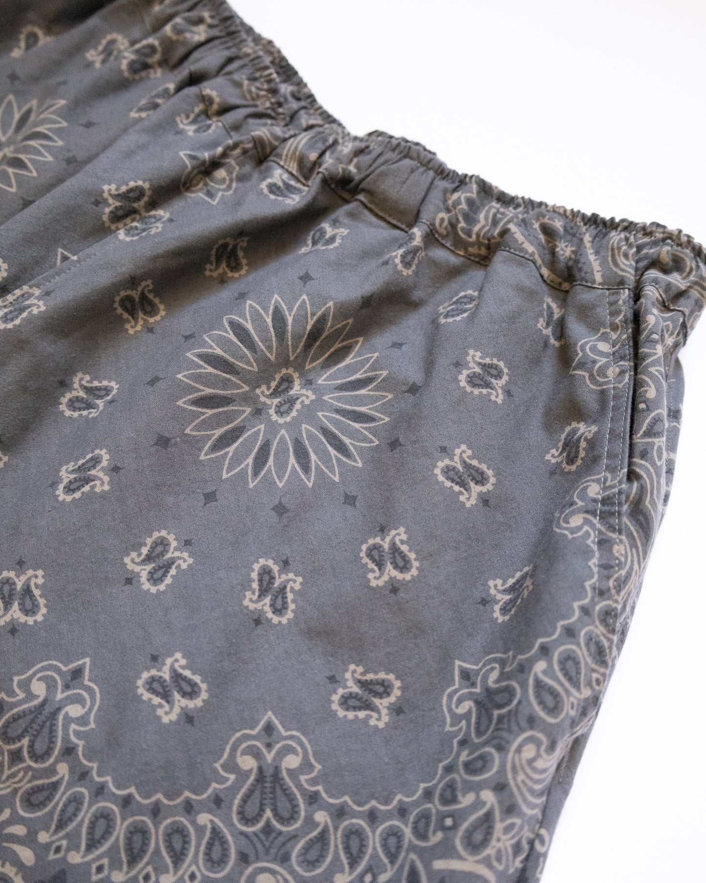 Paisley Bandana 3D Pants